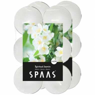 24x geurtheelichtjes spiritual jasmin/wit 4,5 branduren