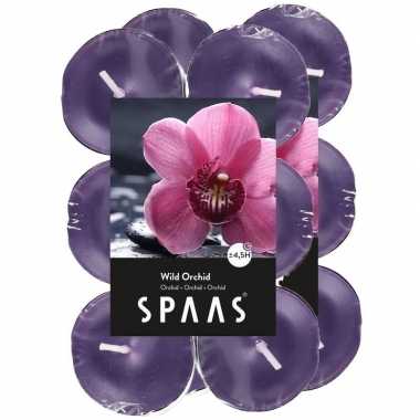 24x geurtheelichtjes wild orchid/paars 4,5 branduren