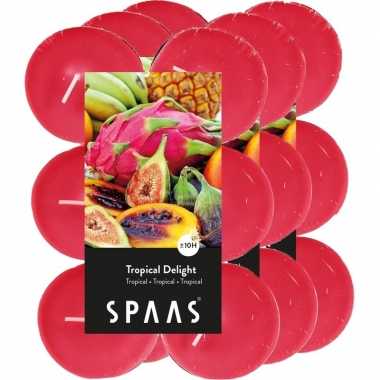 36x maxi geurtheelichtjes tropical delight/fuchsia 10 branduren
