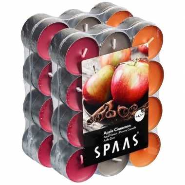 48x geurtheelichtjes apple cinnamon 4,5 branduren