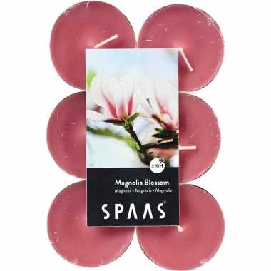 60x maxi geurtheelichtjes magnolia blossom/roze 10 branduren