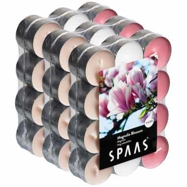72x geurtheelichtjes magnolia blossom 4,5 branduren