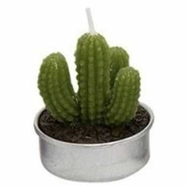 Cactus theelichtje 5 cm type 2