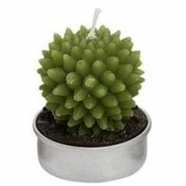 Cactus theelichtje 5 cm type 3