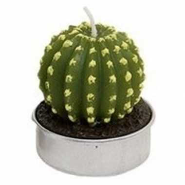 Cactus theelichtje 5 cm type 4