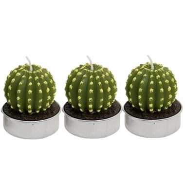 Set van 3x stuks cactus kaarsjes theelichtjes 5 cm