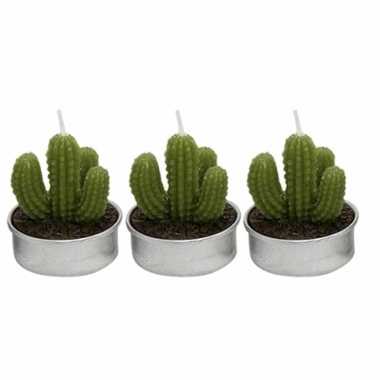 Set van 3x stuks cactus theelichtjes 5 cm vinger vorm