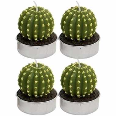 Set van 4x stuks cactus kaarsjes theelichtjes 5 cm