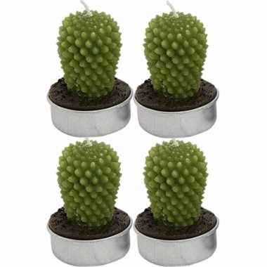 Set van 4x stuks cactus theelichtjes kaarsjes ovaal 5 cm
