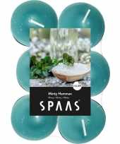 12x geurtheelichtjes minty hammam mintgroen 4 5 branduren