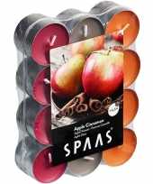 24x geurtheelichtjes apple cinnamon 4 5 branduren