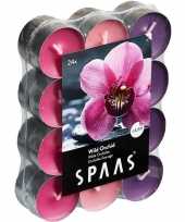 24x geurtheelichtjes wild orchid 4 5 branduren