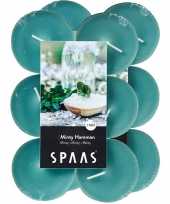 24x maxi geurtheelichtjes minty hammam mintgroen 10 branduren