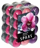 48x geurtheelichtjes wild orchid 4 5 branduren