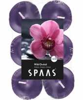 48x geurtheelichtjes wild orchid paars 4 5 branduren