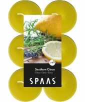 48x maxi geurtheelichtjes southern citrus geel 10 branduren