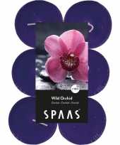 60x maxi geurtheelichtjes wild orchid paars 10 branduren