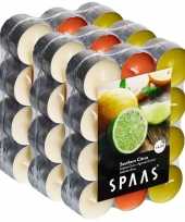 72x geurtheelichtjes southern citrus 4 5 branduren