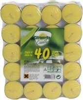 Citronella theelichtjes 40 stuks