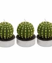 Set van 3x stuks cactus kaarsjes theelichtjes 5 cm 10214662